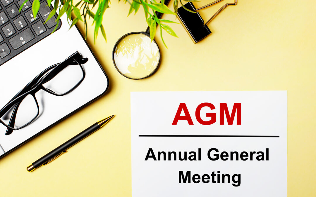 Why COVID-19 is not an excuse to delay an Annual General Meeting