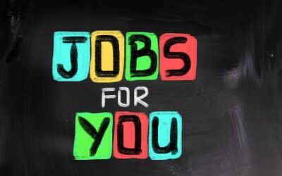 Position Available: Portfolio Administrator