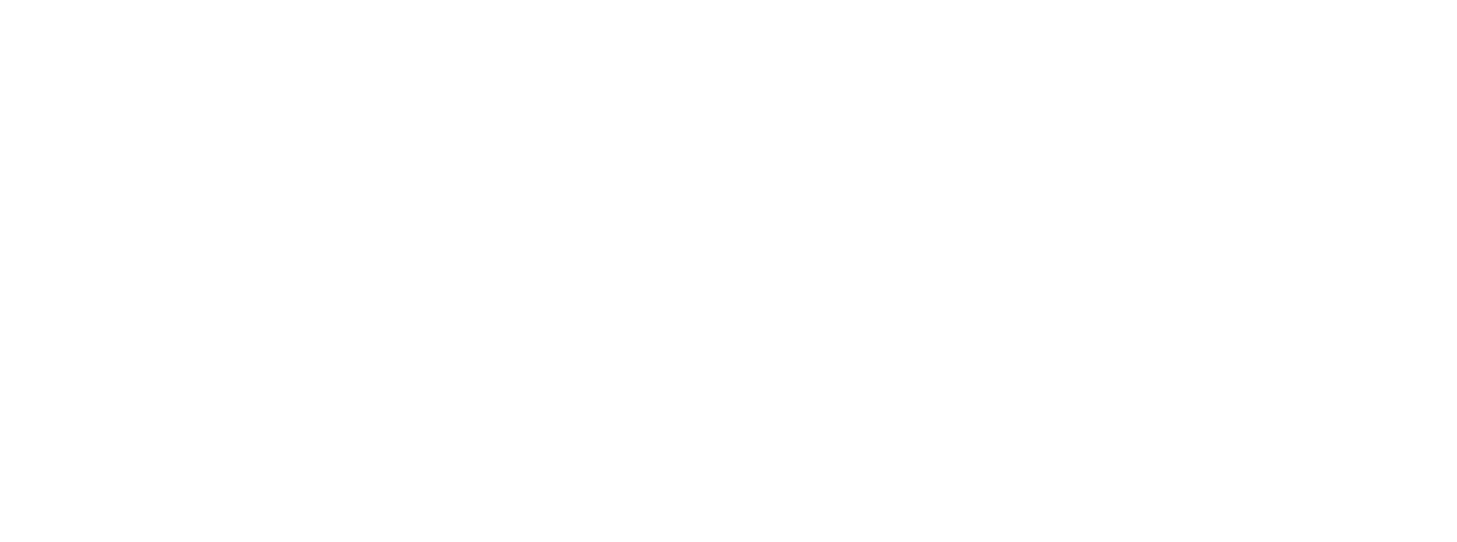ANGOR Logo Light