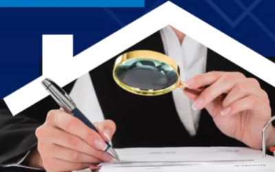 The Importance of Inspecting a Scheme’s Financials before buying