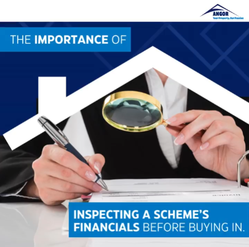 Inspecting financial documents of a scheme