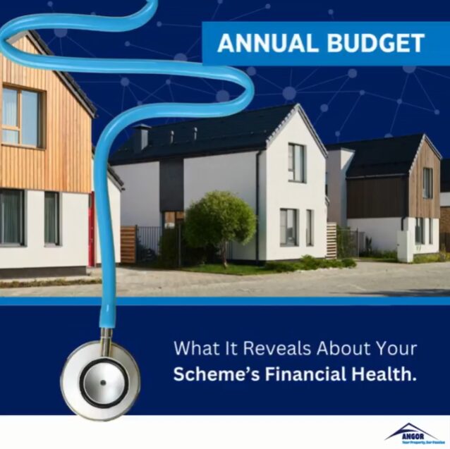 What an Annual Budget Tells You About the Health of Your Scheme