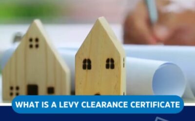 What Is a Levy Clearance Certificate – and Why Is It So Important?
