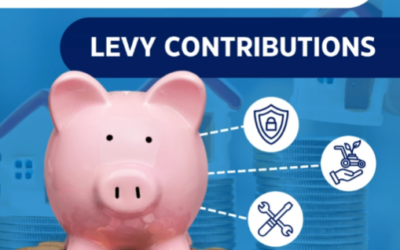 Where Do Your Levies Go? A Clear Breakdown for Owners