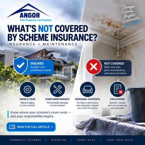 Understanding Your Scheme’s Insurance – What the Body Corporate or HOA policy actually covers